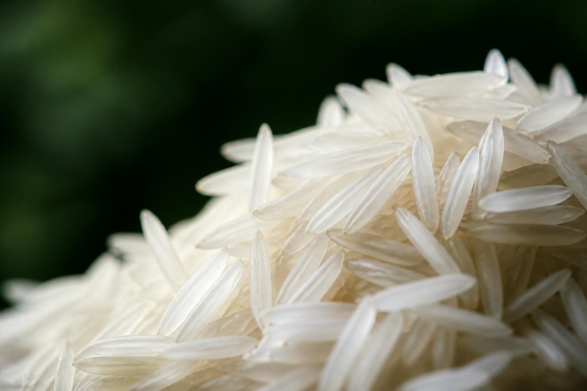 Close-up of premium Indian long-grain Basmati rice